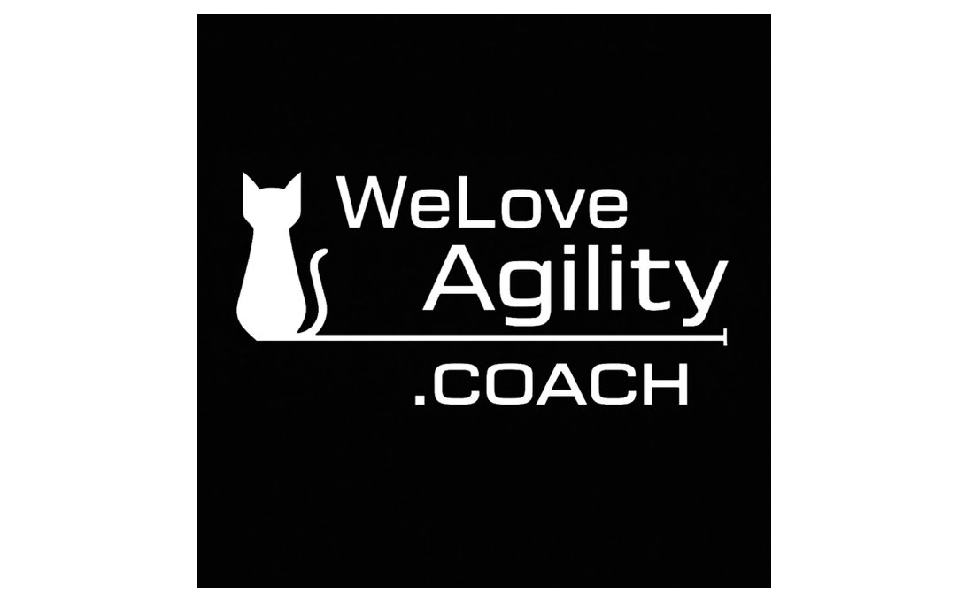 Lire la suite à propos de l’article WeLoveAgility